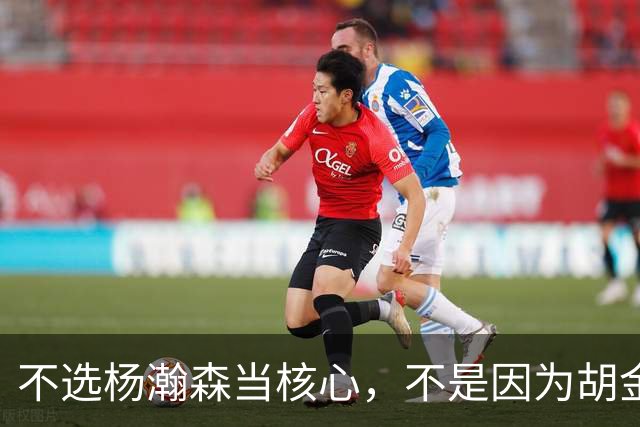 不选杨瀚森当核心，不是因为胡金秋更强，而是他和我们认知不匹配